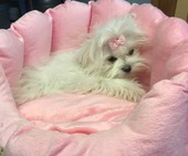 Hailey_6_Monate_39_-_1.jpg