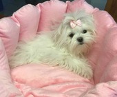 Hailey_6_Monate_41_-_1.jpg