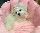 Hailey_6_Monate_43_-_1.jpg