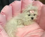 Hailey_6_Monate_44_-_1.jpg