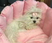 Hailey_6_Monate_47_-_1.jpg