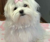 Hailey_6_Monate_4_-_1.jpg