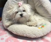 Hailey_6_Monate_58_-_1.jpg