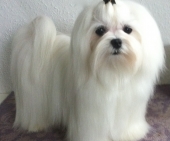 Jack_11_Monate_83___1.jpg