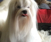 Krissi_9.jpg
