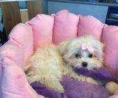 Little_Sunshine_4_Mon_12_-_1.jpg