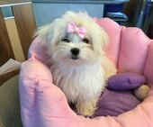 Little_Sunshine_4_Mon_23_-_1.jpg