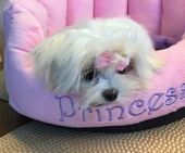 Little_Sunshine_4_Mon_24_-_1.jpg