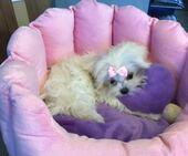 Little_Sunshine_4_Mon_6_-_1.jpg