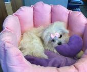 Little_Sunshine_4_Mon_7_-_1.jpg