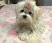 Lovely_7_Monate_22_-_1.jpg