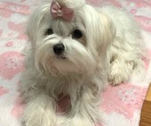 Lovely_7_Monate_34_-_1.jpg