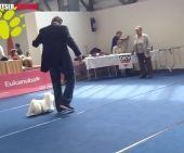 MsalteserKristallInnsbruck22.jpg