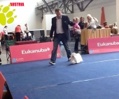 MsalteserKristallInnsbruck7.jpg
