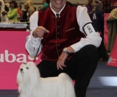 MsalteserKristallTulln10.jpg