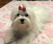 Remy_7_Monate_15_-_1.jpg