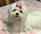 Remy_7_Monate_17_-_1.jpg