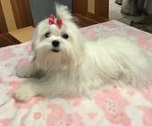 Remy_7_Monate_5_-_1.jpg