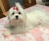 Remy_7_Monate_9_-_1.jpg