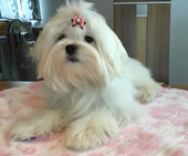 Shirin_6_Monate_10_-_1.jpg