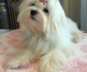 Shirin_6_Monate_11_-_1.jpg