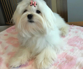 Shirin_6_Monate_13_-_1.jpg