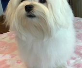 Shirin_6_Monate_18_-_1.jpg