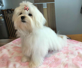 Shirin_6_Monate_1_-_1.jpg