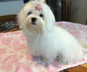 Shirin_6_Monate_20_-_1.jpg