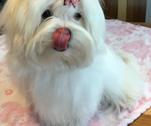 Shirin_6_Monate_26_-_1.jpg