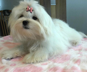 Shirin_6_Monate_3_-_1.jpg
