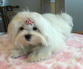 Shirin_6_Monate_4_-_1.jpg