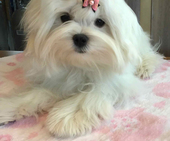 Shirin_6_Monate_5_-_1.jpg