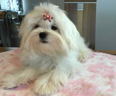 Shirin_6_Monate_6_-_1.jpg