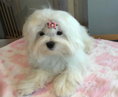Shirin_6_Monate_7_-_1.jpg
