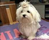Wanda_6_Monate_10_-_1.jpg