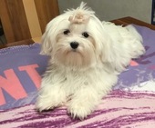 Wanda_6_Monate_13_-_1.jpg