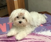 Wanda_6_Monate_15_-_1.jpg