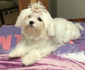 Wanda_6_Monate_16_-_1.jpg