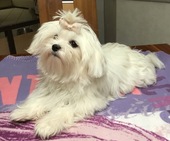 Wanda_6_Monate_17_-_1.jpg