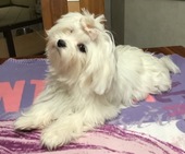 Wanda_6_Monate_18_-_1.jpg