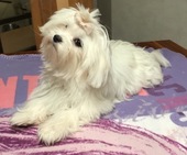Wanda_6_Monate_19_-_1.jpg
