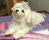 Wanda_6_Monate_20_-_1.jpg