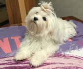 Wanda_6_Monate_21_-_1.jpg