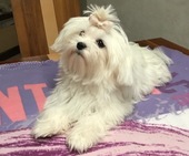 Wanda_6_Monate_22_-_1.jpg