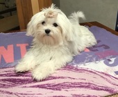 Wanda_6_Monate_25_-_1.jpg
