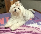 Wanda_6_Monate_26_-_1.jpg