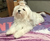 Wanda_6_Monate_27_-_1.jpg