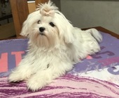 Wanda_6_Monate_28_-_1.jpg
