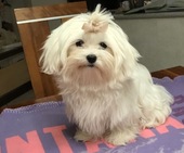 Wanda_6_Monate_29_-_1.jpg
